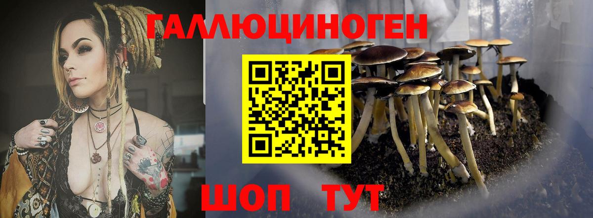 Галлюциногенные грибы Cubensis  Вход с VPN  Белорецк 